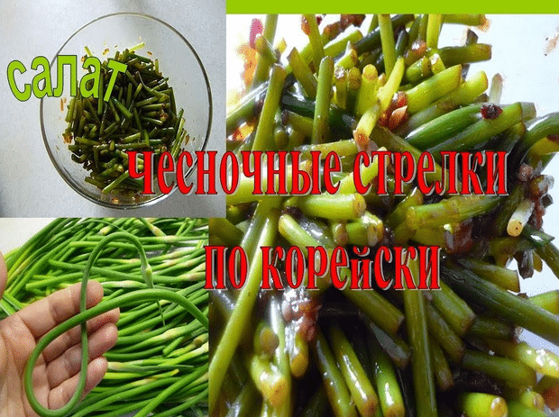 Рецепты приготовления чесночных стрелок