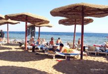 Відпустку за рахунок роботодавця в 2019 році