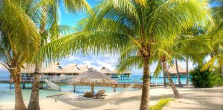 Тури в Домінікану в січні 2019