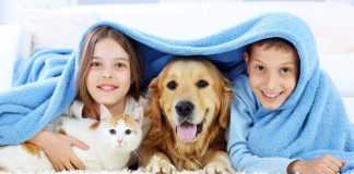 Діти і домашні тварини