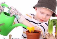 Безпека дитини в будинку: про отруйні кімнатні рослини