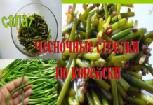 Рецепти приготування часникових стрілок – по-корейськи, паста, суп!
