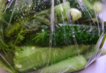 Малосольні огірки в пакет з часником і кропом: 5 швидких рецептів малосольних огірків