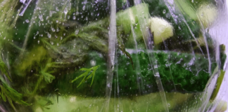 Малосольні огірки в пакет з часником і кропом: 5 швидких рецептів малосольних огірків