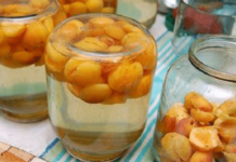 Компот з абрикосів на зиму: 3 простих рецепти приготування компоту