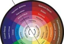 Як ідеально підібрати кольори в одязі?.