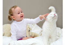 Роль домашніх тварин у формуванні характеру дитини.