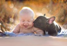 Пост немислимою милоты дитинчат — людських і не тільки!.