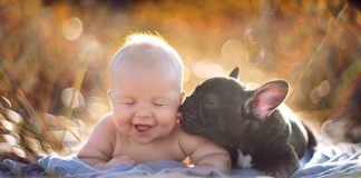 Пост немислимою милоты дитинчат — людських і не тільки!.