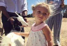 «Ця коза все зіпсувала!»: тварина не вписалося в кадр Тетяни Навки.