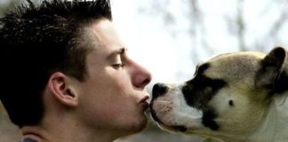 Чому цілувати домашніх тварин небезпечно.