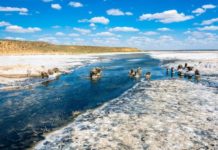 В Історичному Музеї покажуть головні чудеса Росії.