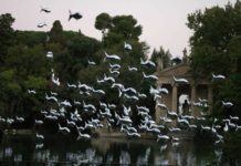 III Щорічний фестиваль мистецтв Натхнення.