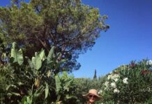 3-річна дочка Навки і Пєскова вміє пірнати, як олімпійська чемпіонка.