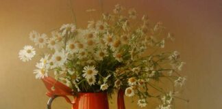 Таланти серед нас. Marasa.