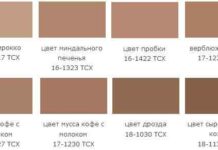 Колір кави з молоком і його поєднання