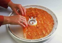 Як сушити фрукти в домашніх умовах