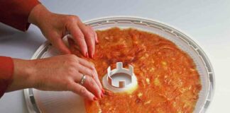 Як сушити фрукти в домашніх умовах