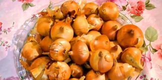 Як виростити цибулю який не буде гнити на грядці?