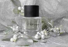 Les contes, elfe d’argent. Нова казка для дорослих