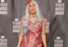 “для тебе нічого не шкода”: клава кока викрила леді гагу в плагіаті своєї ідеї