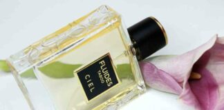 Ciel fluides taboo. Якщо не можна, але дуже хочеться, то можна