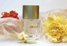 Les contes, elfe d’or. “улучшатель” настрою