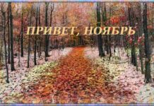 Виділення часток дітям