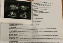 14 приголомшливих дитячих фільмів-казок для зимового настрою