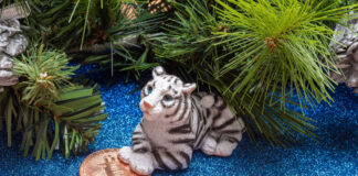 Поради дизайнера: як оновити свій будинок в рік блакитного водяного тигра