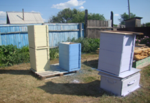 Креслення рогатого вулика і як зробити в домашніх умовах своїми руками