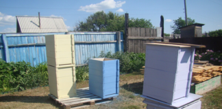 Креслення рогатого вулика і як зробити в домашніх умовах своїми руками