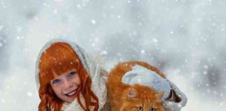 Мої улюблені руді