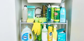 Революція під панциром: 10 організаторів, які дійсно працюють