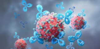 Вчені MIT позбавляють рак цукрового щита