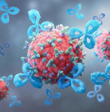 Вчені MIT позбавляють рак цукрового щита