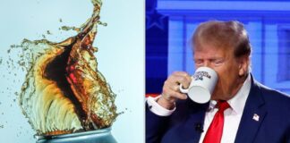 Дилемма диетической газировки: вредна ли ваша привычка пить напитки без сахара?