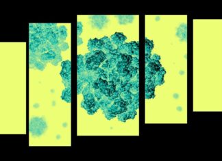 El norovirus no termina con el invierno. O verano.