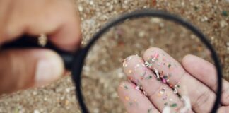 У вашому холодильнику для кімчі є пастка для мікропластику?