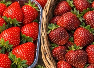 Perché le fragole spagnole possono essere fonti nascoste di PFAS: una guida a scelte più sicure