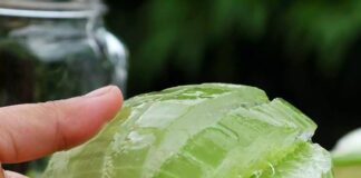 Природні засоби від лупи на шкірі голови: як позбутися лупи без хімії